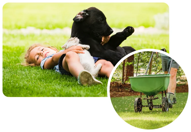 lawn fertilizer image and image of girl playing with dog outside
