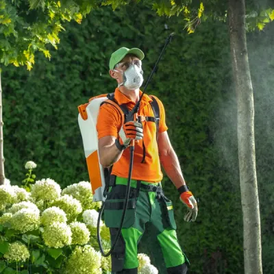 man spraying shrubs and trees