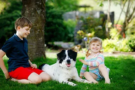 kids playing with dog outside