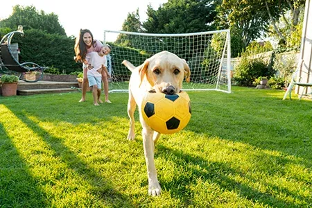 Mother and daughter playing with dog outside