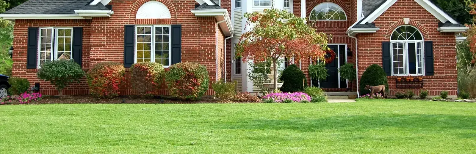 brick home with nice healthy front yard
