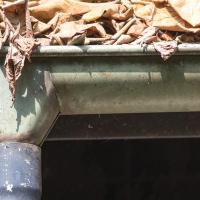 clogged gutter