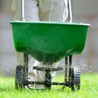 Overseeding