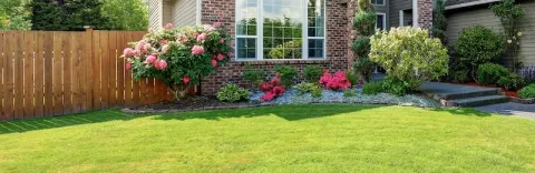Lawn