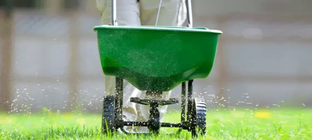 Overseeding