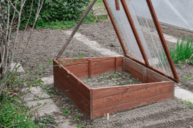 cold frame