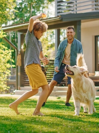dog playing in lawn