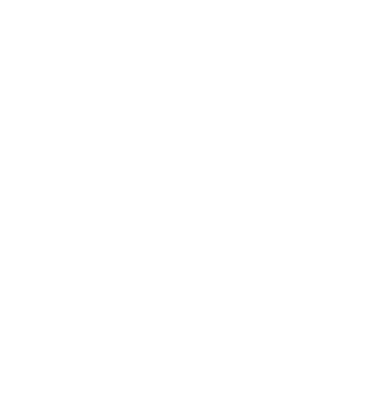 Perimeter pest control ant icon
