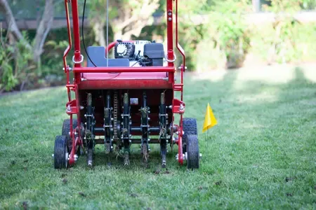 lawn aeration