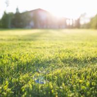lawn