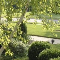 trees