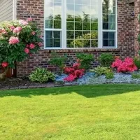 Lawn